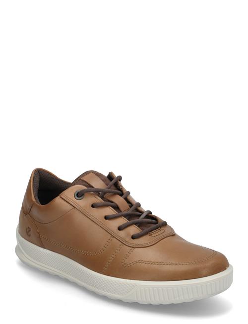 Byway ECCO Brown