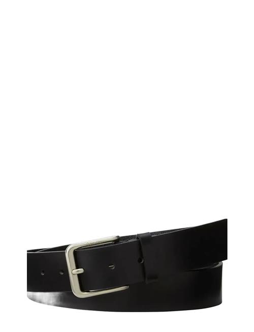 Casual Pin Buckle 35Mm Fixed Calvin Klein Black