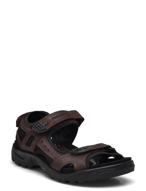 Offroad ECCO Brown