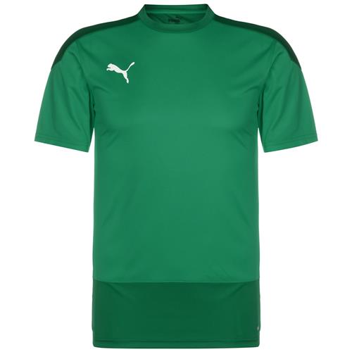 PUMA Funktionsskjorte 'TeamGoal 23'  grøn / mørkegrøn