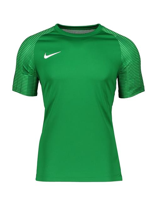 NIKE Funktionsskjorte 'Academy'  grøn / lysegrøn