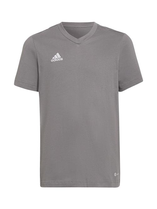 ADIDAS PERFORMANCE Funktionsskjorte 'Entrada 22'  grå / hvid