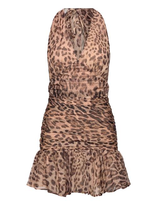Mave Halter Neck Mini Dress Bardot Beige