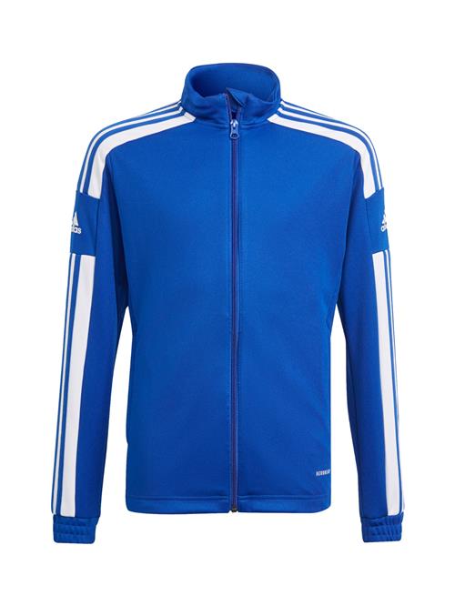 ADIDAS PERFORMANCE Sportsjakke 'Squadra 21'  blå / hvid