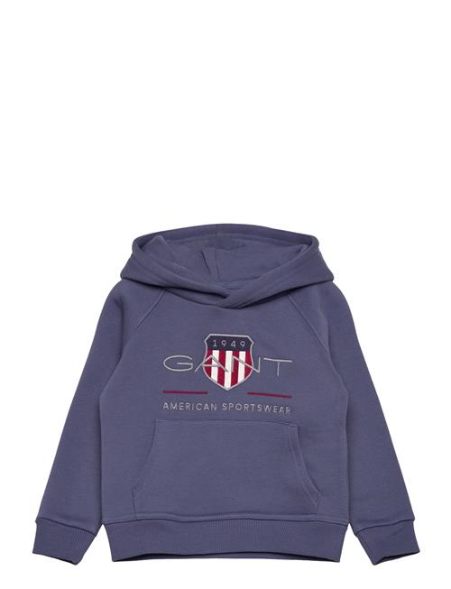 Archive Shield Raglan Hoodie GANT Blue
