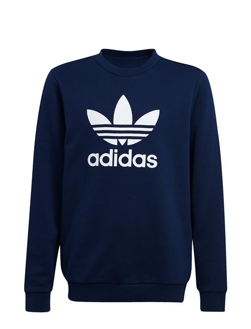 Trefoil Crew Adidas Originals Navy