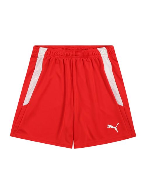 PUMA Sportsbukser 'TeamLiga'  rød / hvid