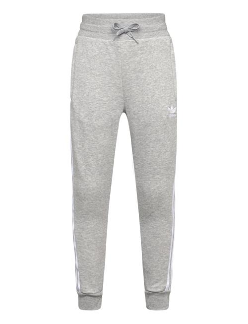 Trefoil Pants Adidas Originals Grey
