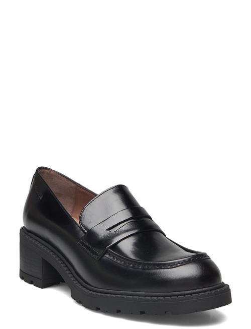 Evoclub 01 Wonders Black