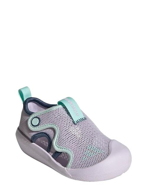 Altaventure 3 I Adidas Sportswear Purple