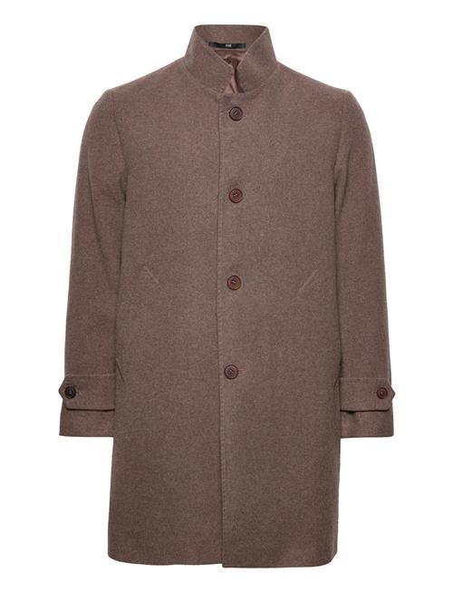 Chimmy SIR Of Sweden Brown