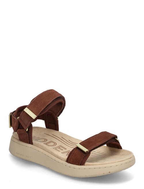 Line Suede WODEN Brown