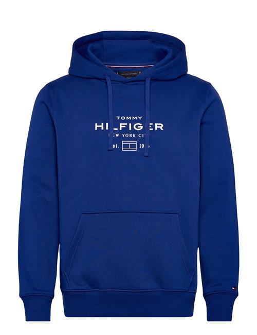 Oval Graphic Hoodie Tommy Hilfiger Blue