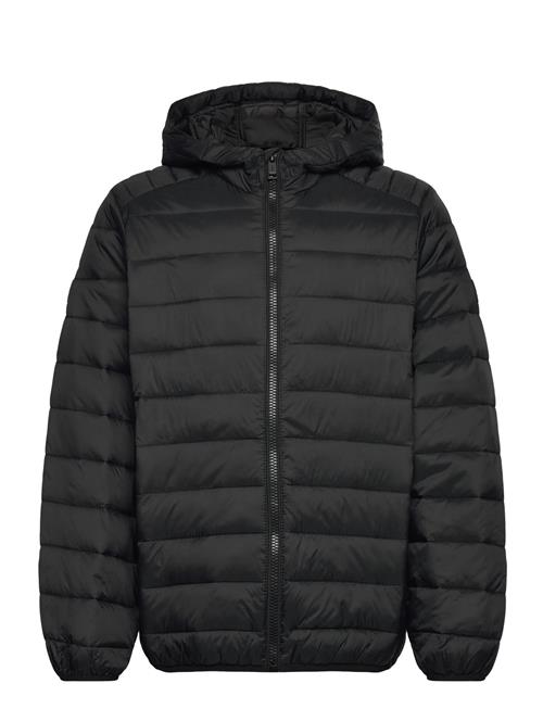 Jack & Jones Jjebradley Light Puffer Hood Jnr Jack & J S Black