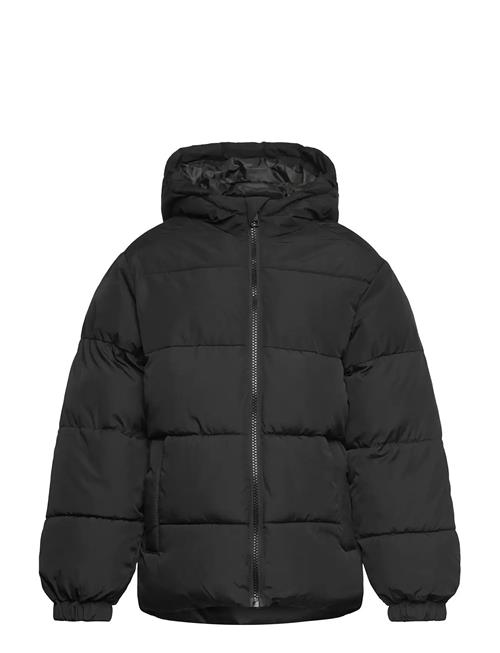 Jack & Jones Jjmaze Puffer Hood Jnr Jack & J S Black