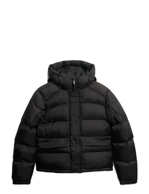 Hooded Tech Padded Jkt Superdry Sport Black