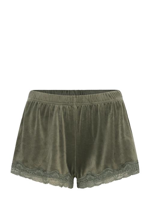 Short Velours Scallop Lace Hunkemöller Khaki