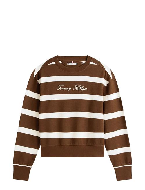 Script Reg Pique Swtshrt Tommy Hilfiger Brown