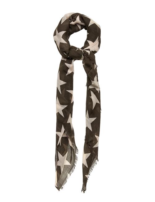 Super Nova Becksöndergaard Brown