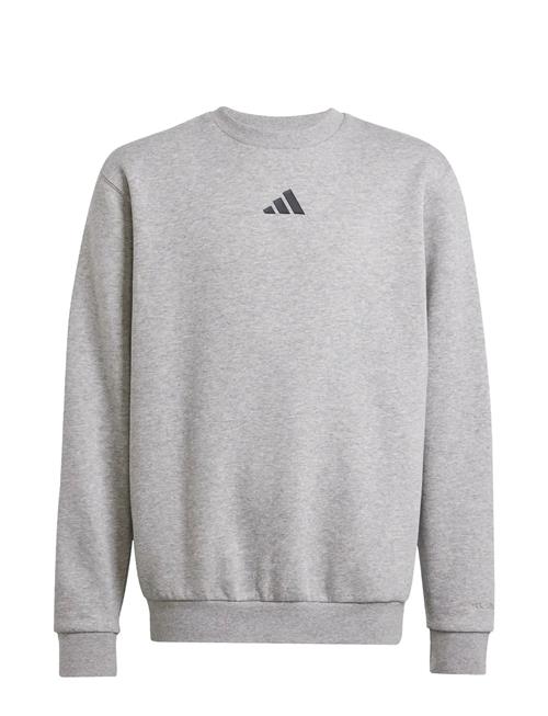 J Allszn Gfx Sw Adidas Sportswear Grey