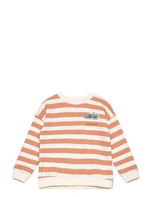 Cartoon Cotton Sweatshirt Mango Orange