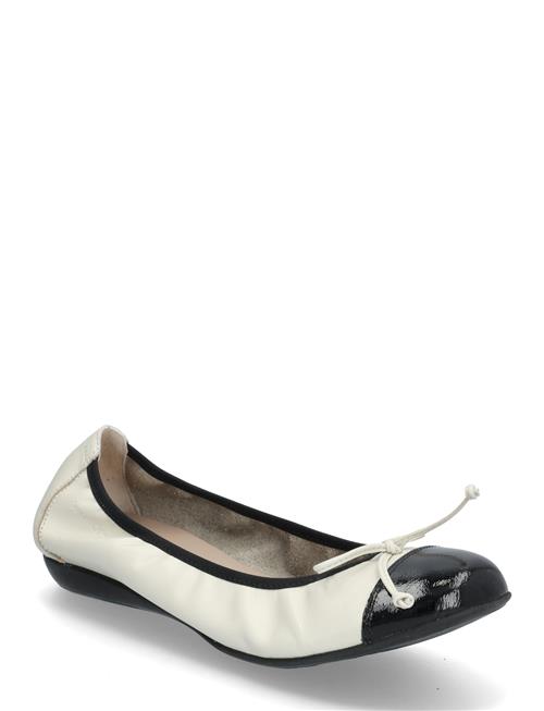 Selene Wonders White