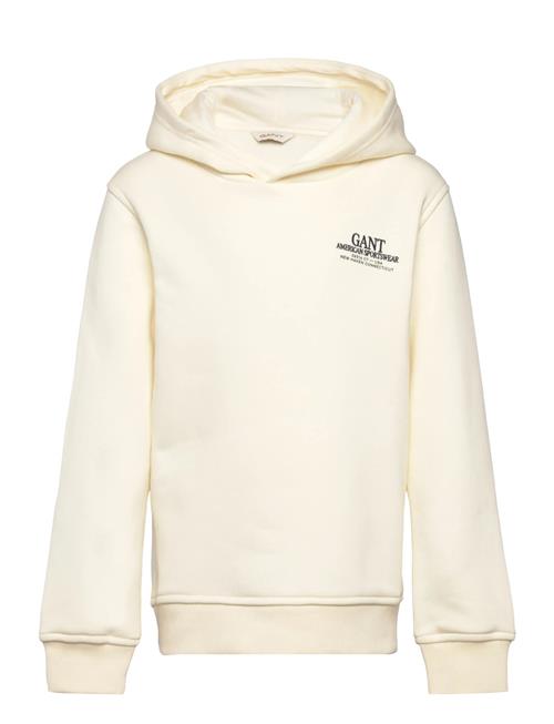 Graphic Hoodie GANT Cream