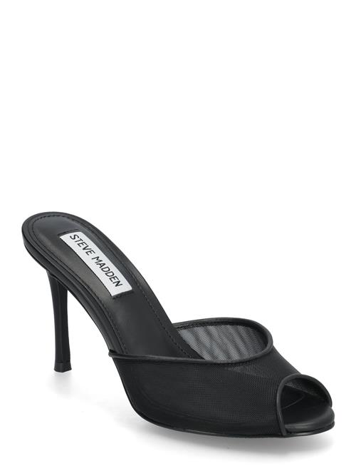 Rollout-M Mule Steve Madden Black