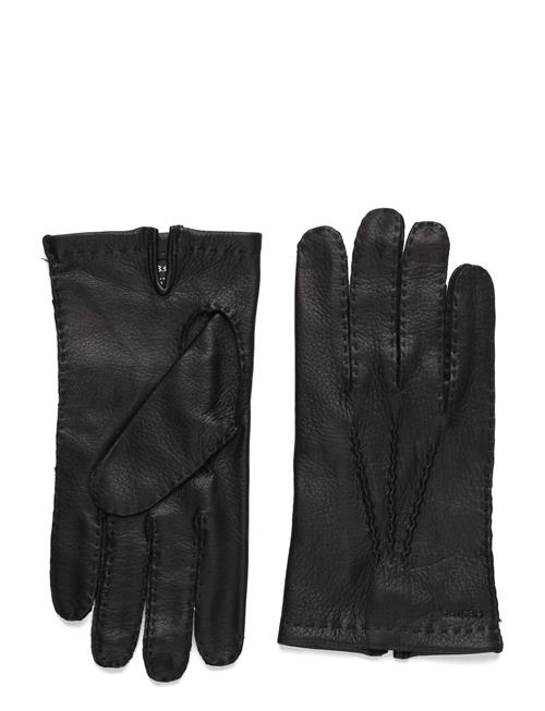 Henry Cork Hestra Black