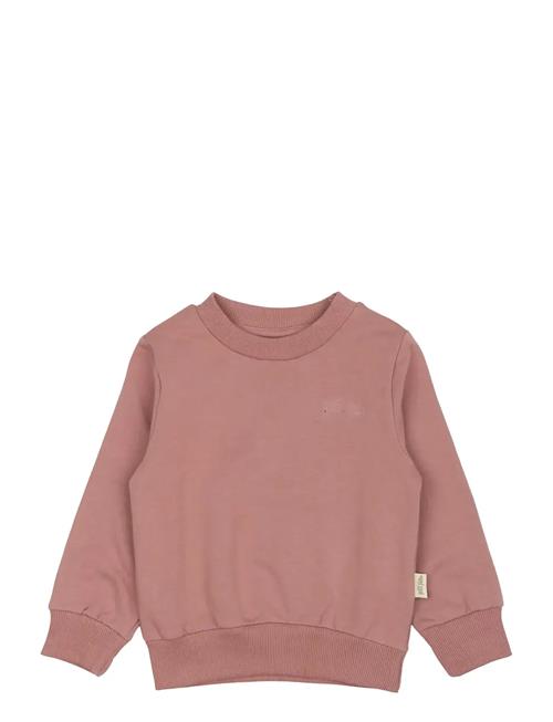 Ppdun Sweat Shirt Petit Piao Pink
