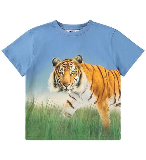 Molo T-shirt - Rubin - Tiger On Blue