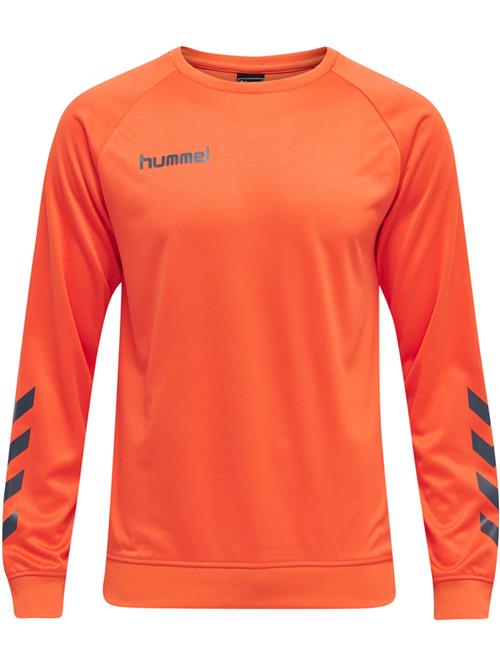 Hummel Sportsweatshirt  antracit / orange