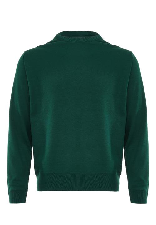 BLONDA Pullover  gran