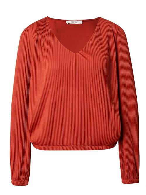 ABOUT YOU Shirts  rustrød