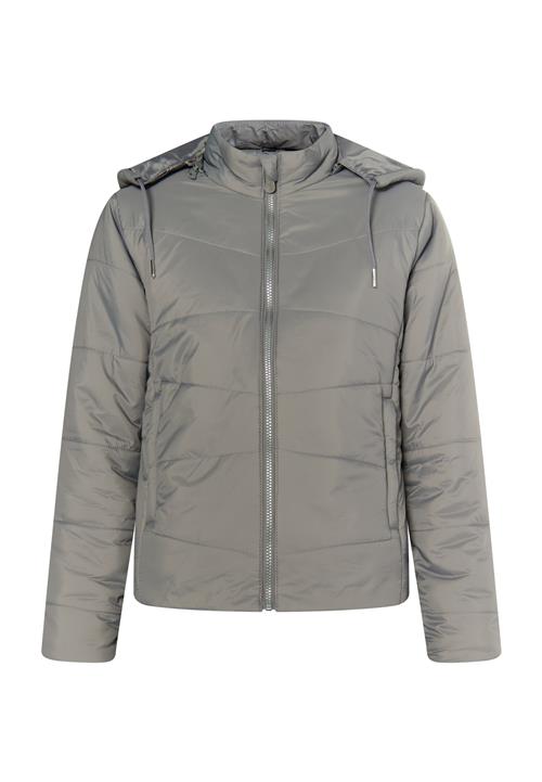 faina Overgangsjakke 'Caspio'  grå