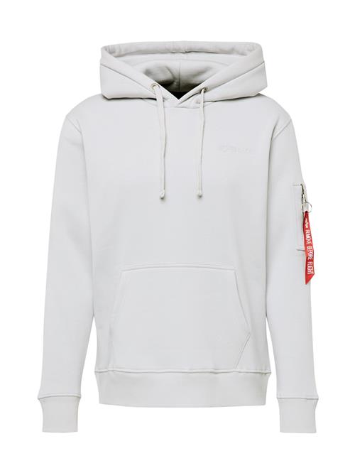 ALPHA INDUSTRIES Sweatshirt 'Air Force'  lysegrå