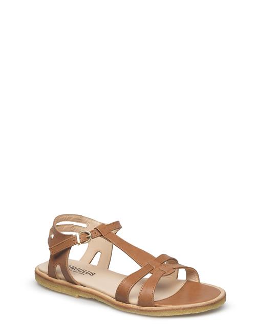 ANGULUS | Sandals - Flat | 37.5
