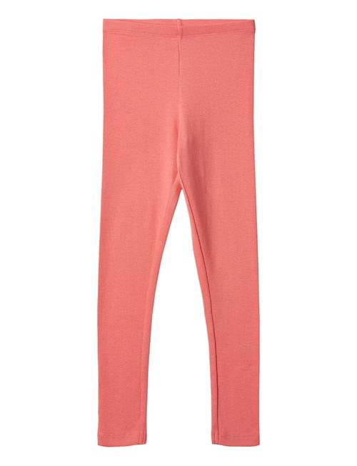 Wheat | Rib Leggings Maddy | 104