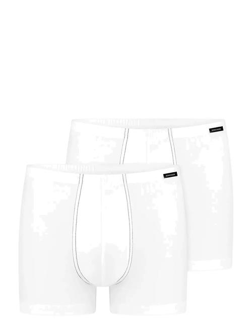 Schiesser | Shorts | S