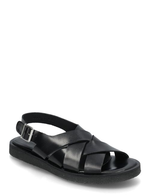 ANGULUS | Sandals - Flat  - Open Toe - Op | 37