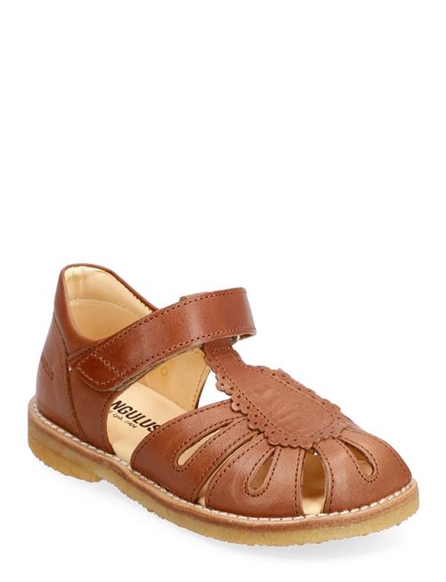 ANGULUS | Sandals - Flat - Closed Toe - | 28