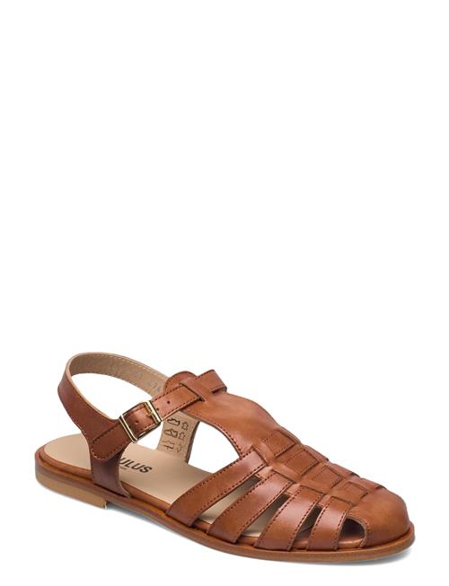 ANGULUS | Sandals - Flat - Closed Toe - Op | 37-24.5CM