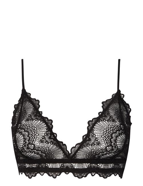 Understatement Underwear | Saboteur Lace Bralette | XL