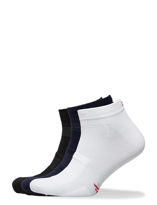 Danish Endurance | Cycling Low-Cut Socks 3-Pack | 43-47