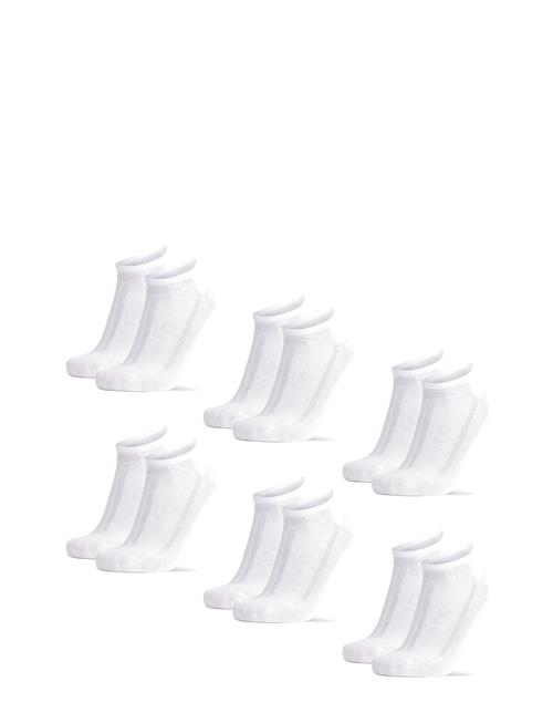 Danish Endurance | Bamboo Low-Cut Socks 6-Pack | 35-38