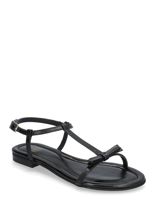 Billi Bi | Sandals A8702 | 40