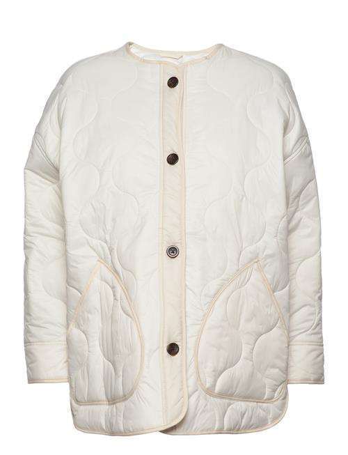 Abercrombie & Fitch | Anf Womens Outerwear | L