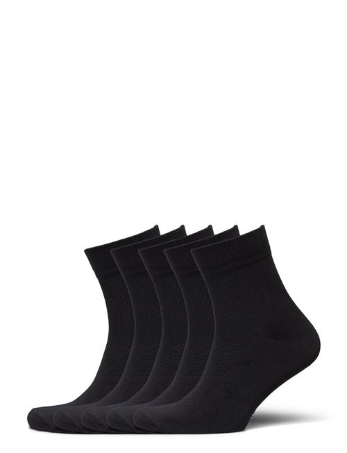 ZEBDIA | 5-Pk Basic Running Socks | 39-42