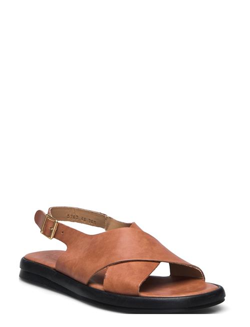 ANGULUS | Sandals - Flat | 40