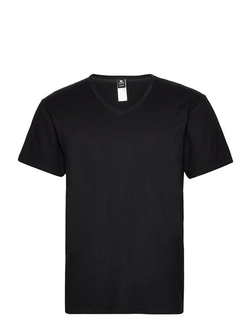 Dovre | Dovre T-Shirts V-Neck Organic | M